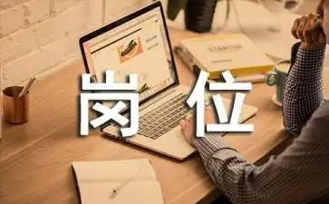 v财岗位实训心得体会7篇
