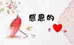 作文《我最感激的人》600字7篇