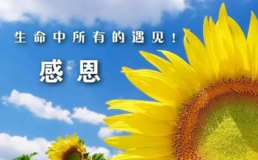 感谢青春作文最新6篇