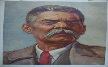 高尔基我的大学读后感6篇