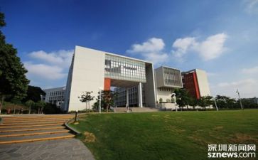 2024高校教师总结模板7篇