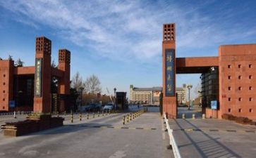 2024高校教师总结优质8篇