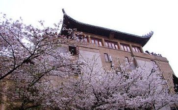 市高校调查报告8篇