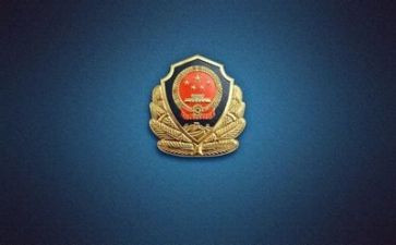 2024年公安个人年度总结7篇