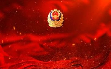 2024年公安年度总结7篇
