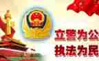 公安年度个人总结5篇
