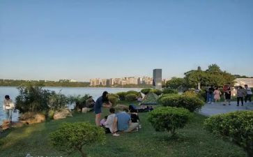我的公园300作文8篇