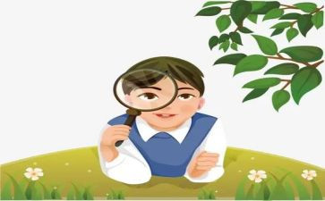 泡蒜苗的观察作文7篇