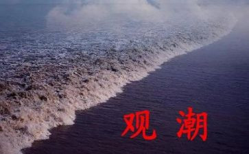 小学四年级观潮读后感8篇