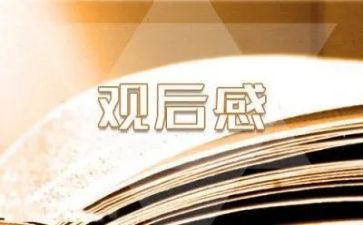 20240123新闻周刊观后感6篇