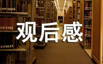 安全教育警示片观后感6篇