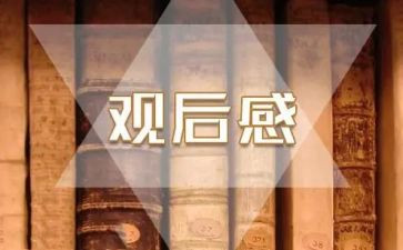 袁?老师观后感最新5篇