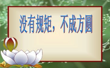 政治纪律政治规矩的自查报告7篇