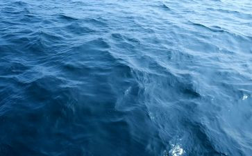 海上吹来的风读后感7篇