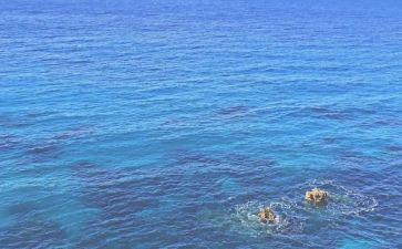 海州调查报告模板7篇
