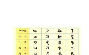 汉字学心得7篇