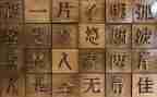 _我的汉字作文5篇