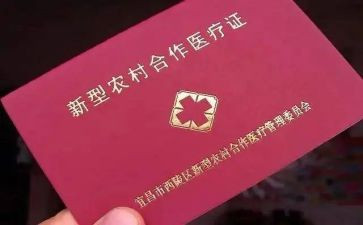 新合疗工作总结报告优秀8篇