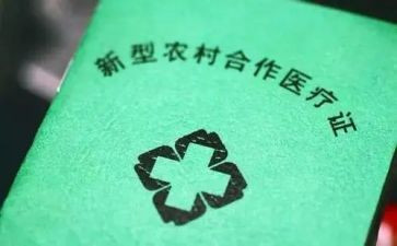 新合疗工作总结报告范文精选8篇