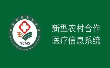 新合疗工作总结报告范文7篇