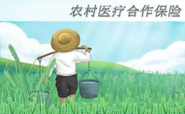 新合疗工作总结报告范文最新6篇