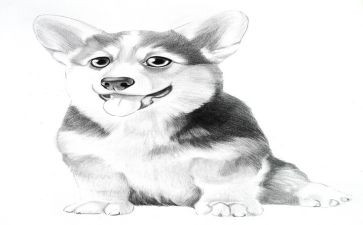 小学语文《画》教案通用8篇