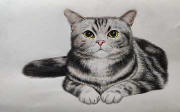 小学语文《画》教案最新8篇