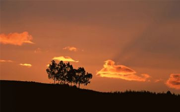 秋的怀念的读后感模板8篇