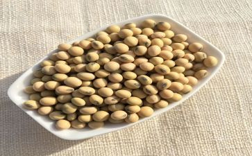 炒黄豆的教案5篇