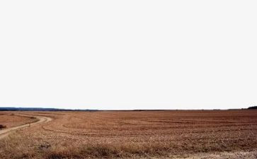 在荒野读后感5篇