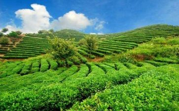 环境类工作总结范文7篇