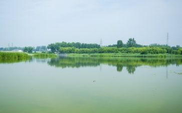 环境类工作总结范文参考8篇