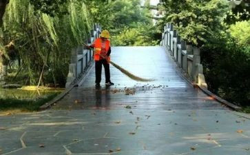 环卫处述职报告5篇