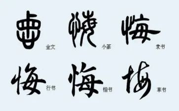 青春,无悔作文5篇
