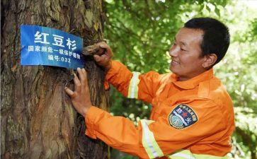护林员个人年终总结6篇