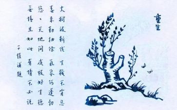 保护生态文明演讲稿7篇