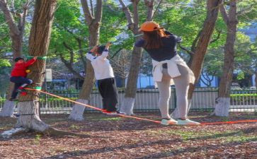 幼儿园小班户外走教案5篇