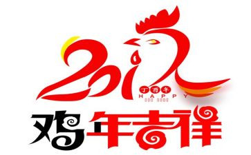 鸡的调查报告400字模板6篇