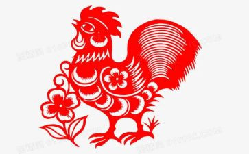 捉小鸡的作文5篇