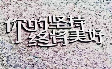 坚持不懈的我作文800字5篇