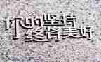 坚持不懈的我作文800字5篇