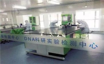 职业技能鉴定站工作总结5篇