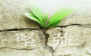 我坚强作文500字7篇