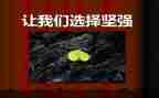 猪坚强演讲稿6篇