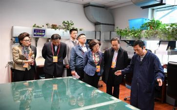 监委会述职报告6篇