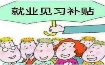 见习的心得体会8篇