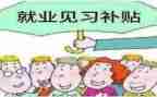 见习的心得体会8篇