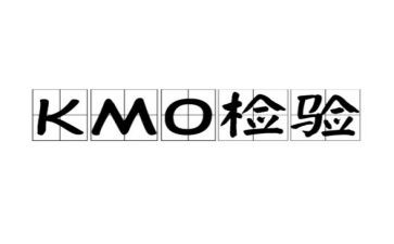 检验公司工作总结7篇
