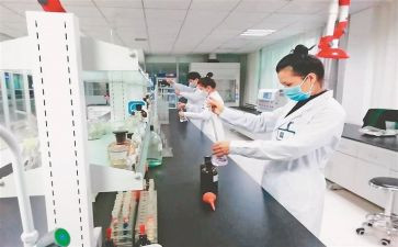 检验2024年终个人总结优秀8篇