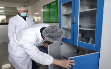 检验处工作总结最新8篇